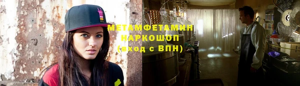индика Бородино