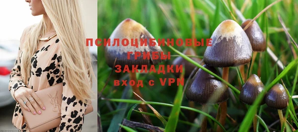 соль курить ск Богданович