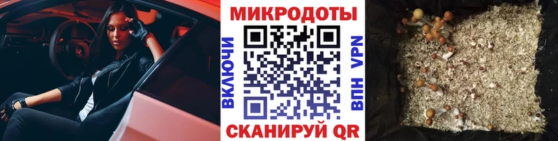 Галлюциногенные грибы Psilocybe  МЕГА вход  Дятьково 